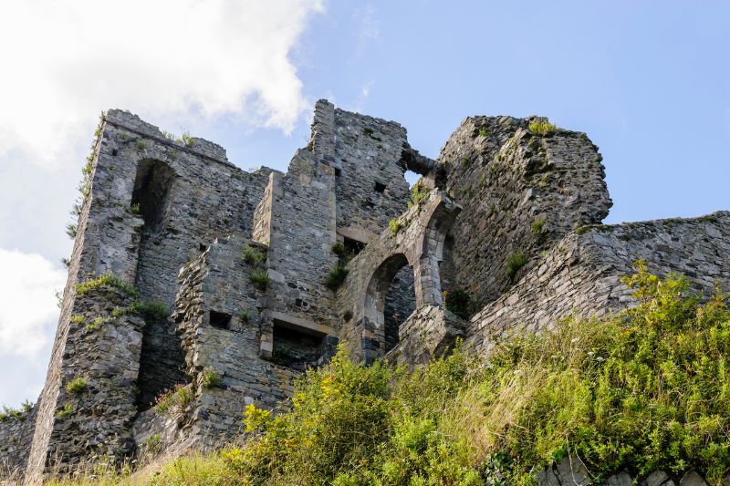 the history of carlingford
